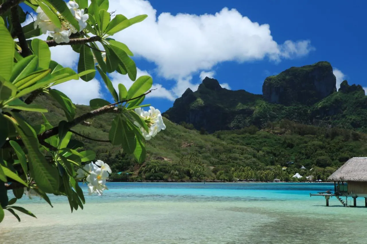 Hotel Sofitel Bora Bora Private Island